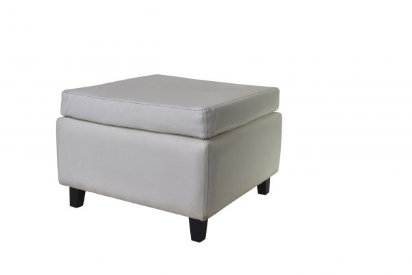 FS008